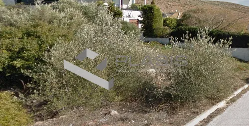 Οικόπεδο 700τ.μ.  - 2