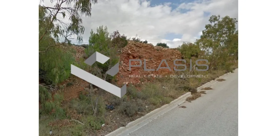 Οικόπεδο 1333τ.μ.  - 2