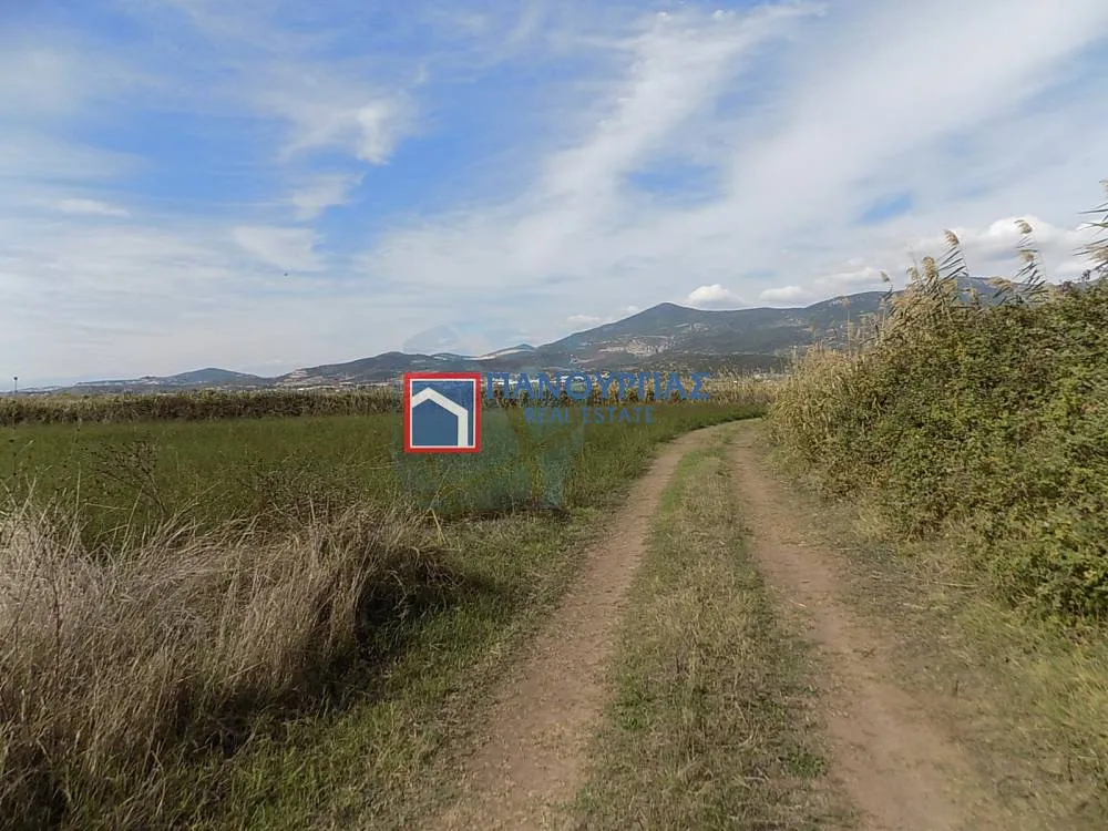 Land Parcel 9281m²  - 2