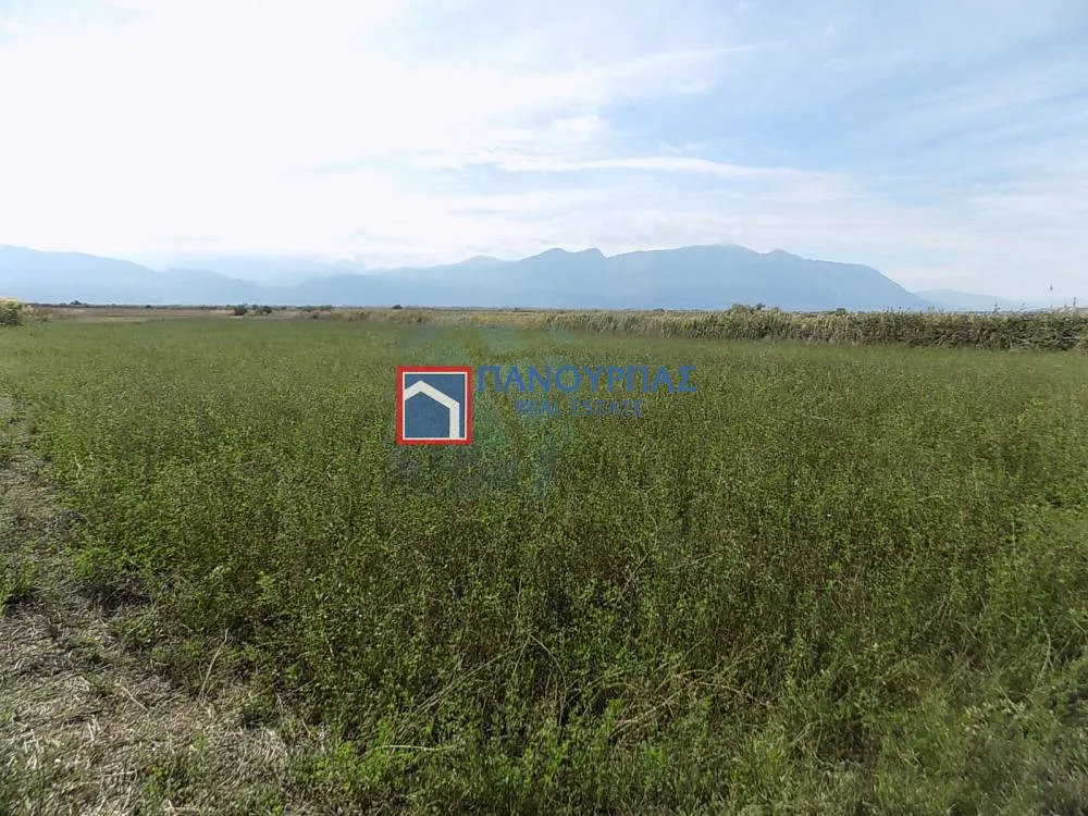 Land Parcel 9281m²  - 5