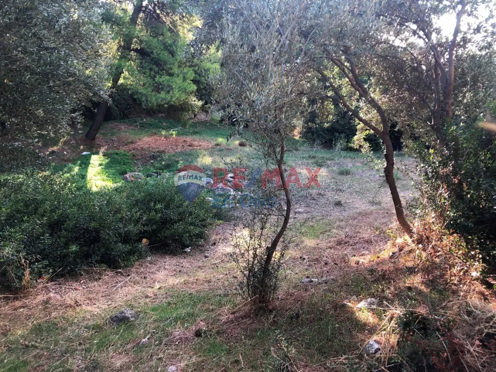 Οικόπεδο 170τ.μ.  - 2