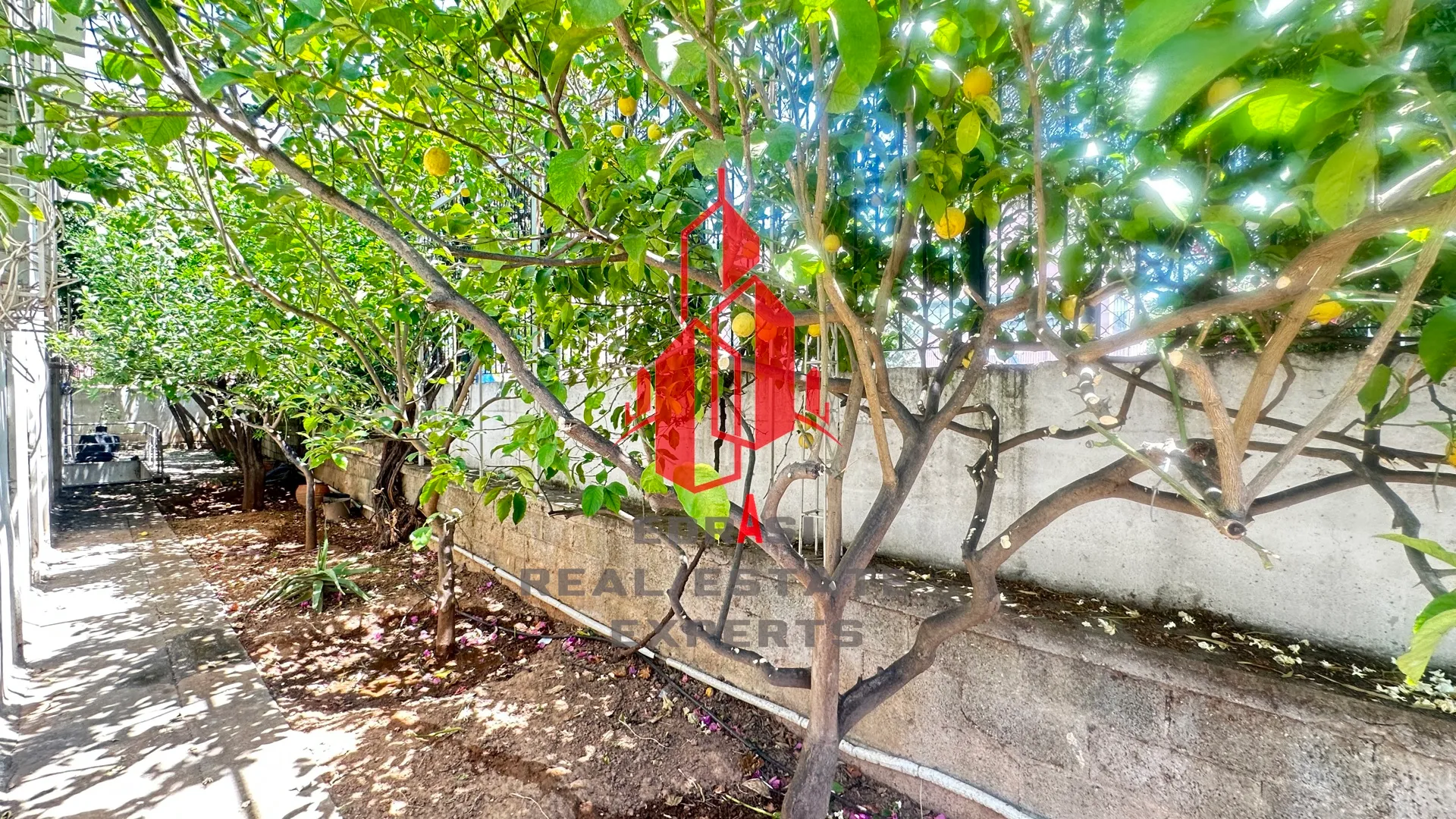 Detached house 155m²  - 4