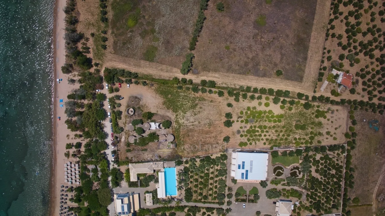 Plot 11500m²  - 4