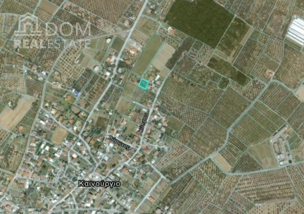 Plot 593m²  - 2