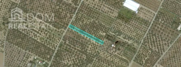 Plot 593m²  - 3