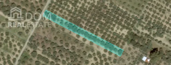 Plot 593m²  - 4