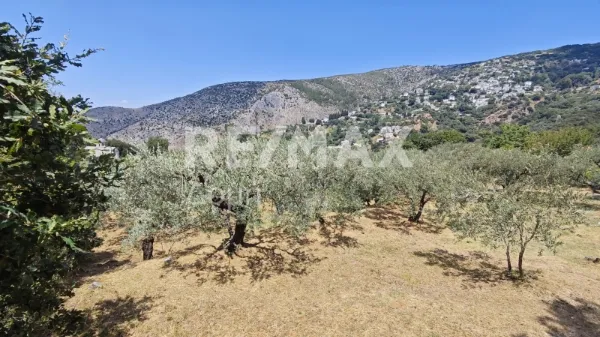 Μονοκατοικία 41τ.μ.  - 4