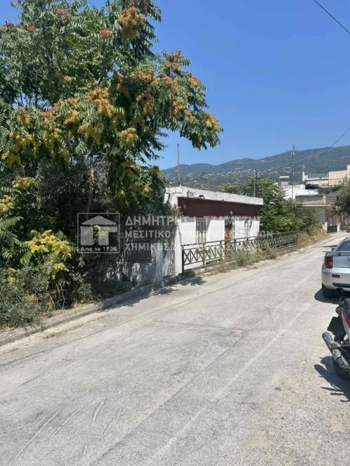 Μονοκατοικία 70τ.μ.  - 4