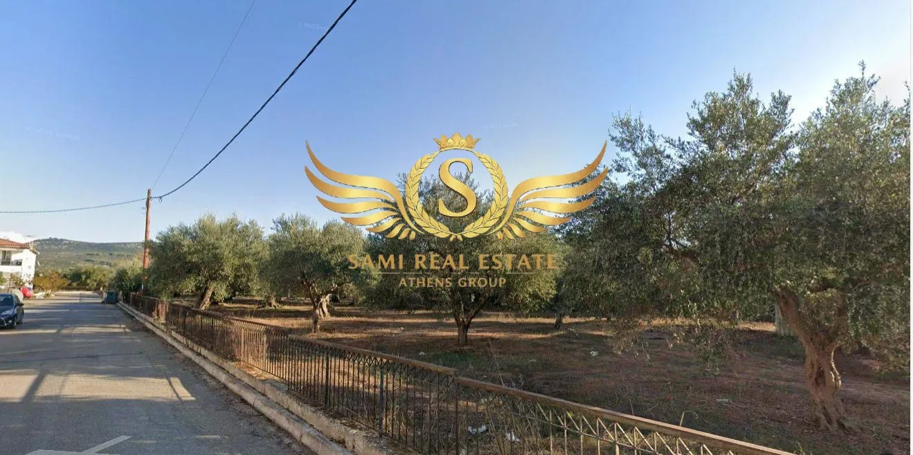Οικόπεδο 6411τ.μ.  - 4