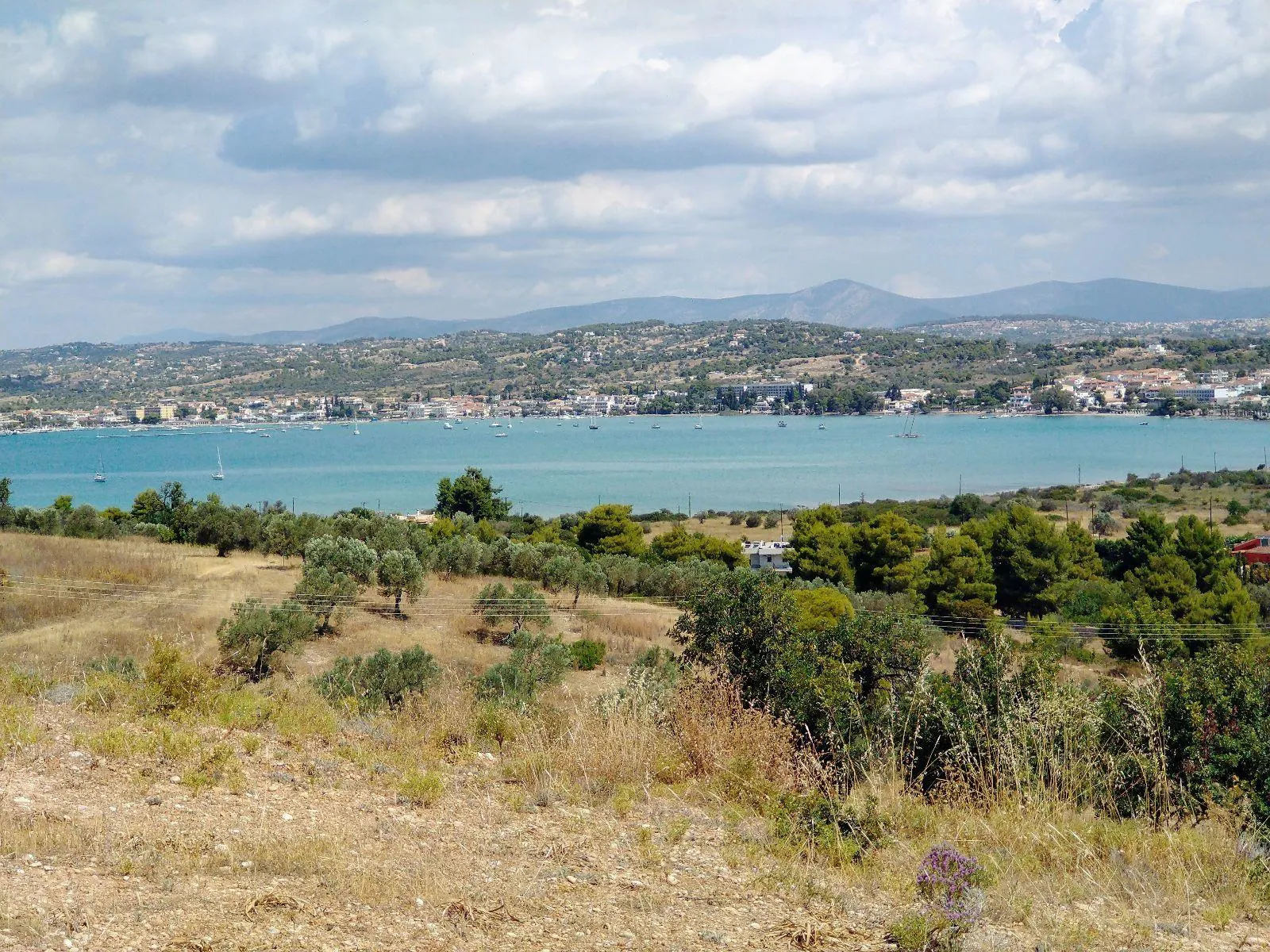 Land Parcel 38000m²  - 2