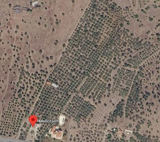 Αγροτεμάχιο 53000τ.μ.  - 2