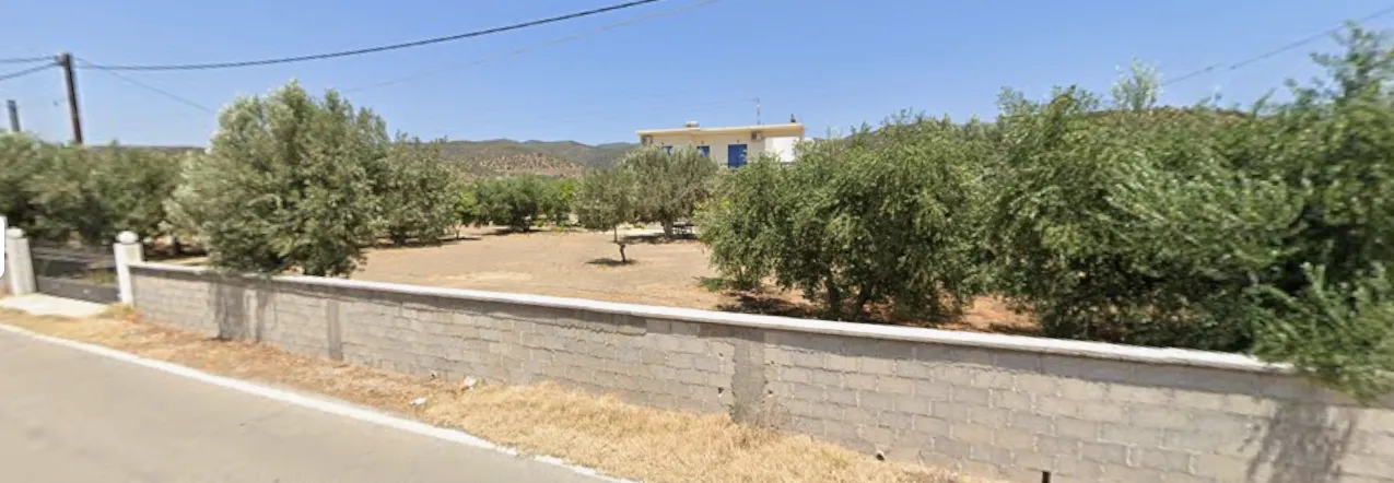 Αγροτεμάχιο 53000τ.μ.  - 3