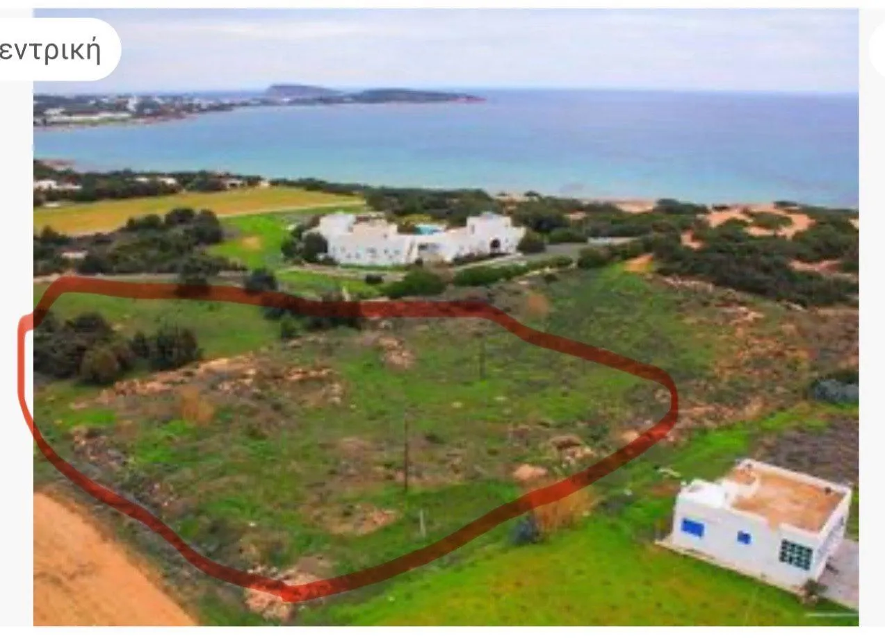 Plot 10000m²  - 5