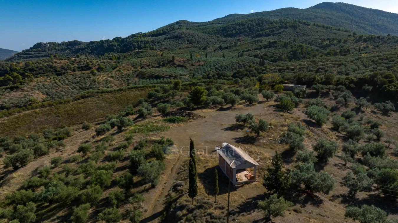 Αγροτεμάχιο 100943τ.μ.  - 2