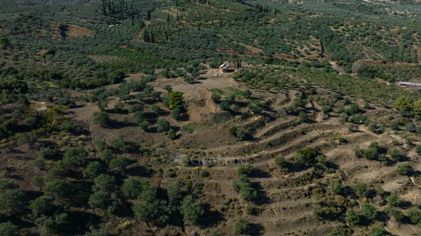 Αγροτεμάχιο 100943τ.μ.  - 3