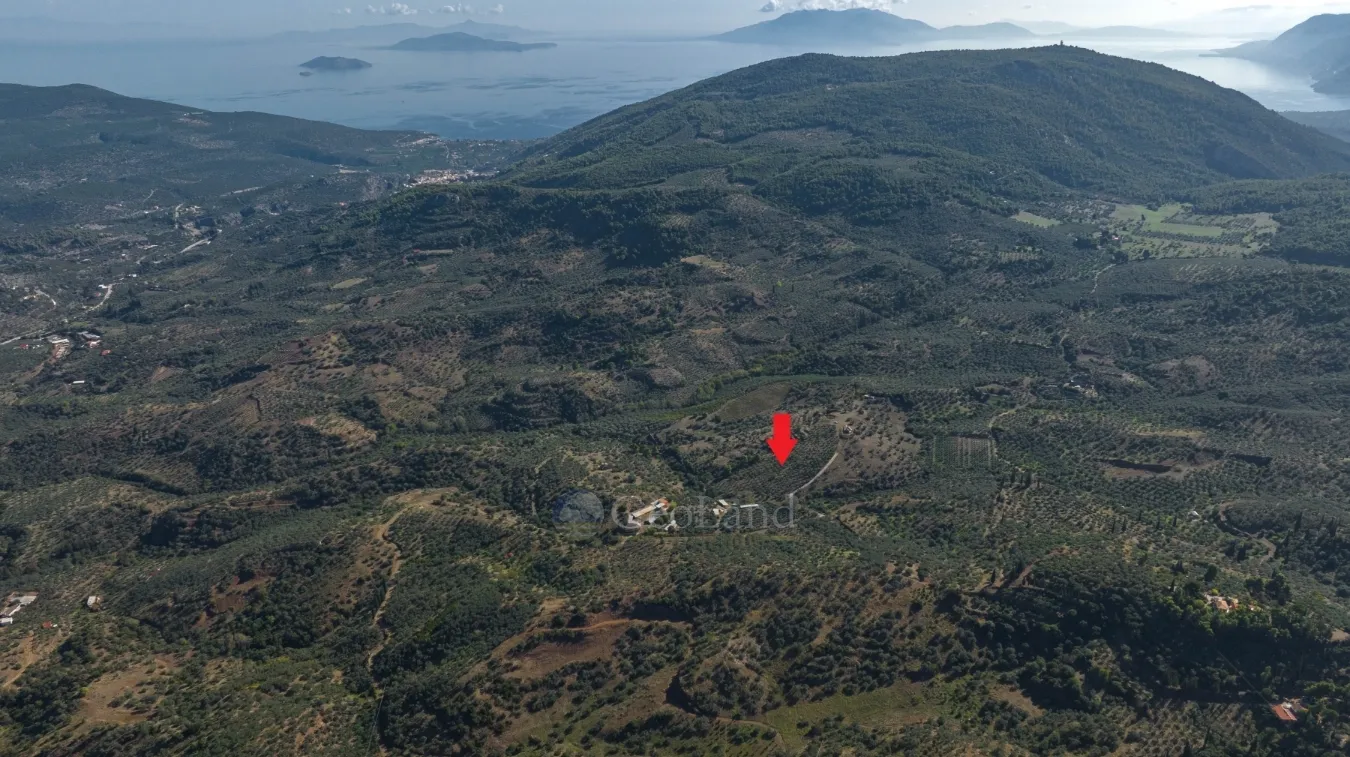 Αγροτεμάχιο 100943τ.μ.  - 4