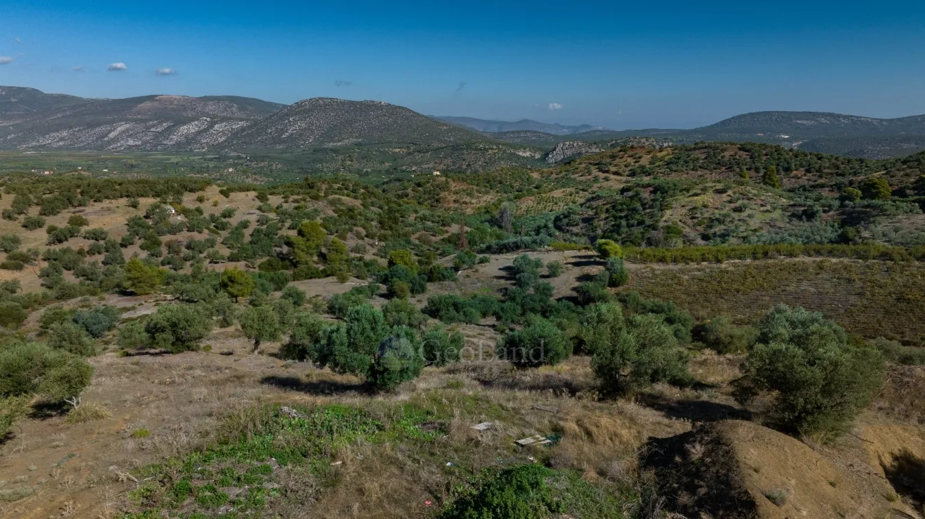 Αγροτεμάχιο 100943τ.μ.  - 5