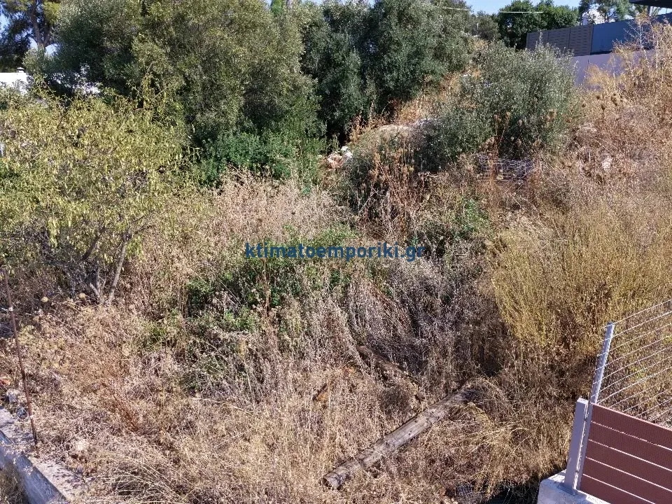 Οικόπεδο 438τ.μ.  - 4