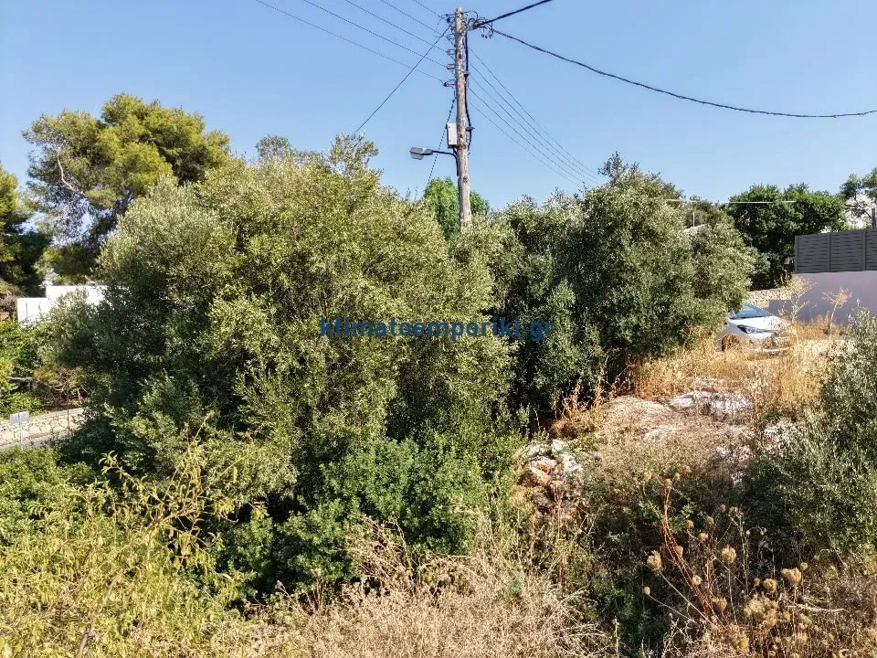 Οικόπεδο 438τ.μ.  - 5