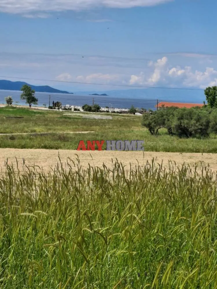 Οικόπεδο 530τ.μ.  - 3