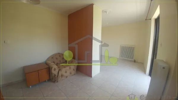Studio 33m²  - 2