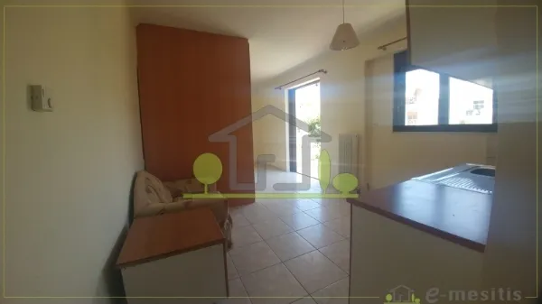 Studio 33m²  - 3