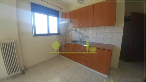 Studio 33m²  - 4
