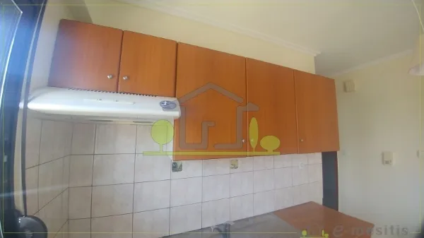 Studio 33m²  - 5