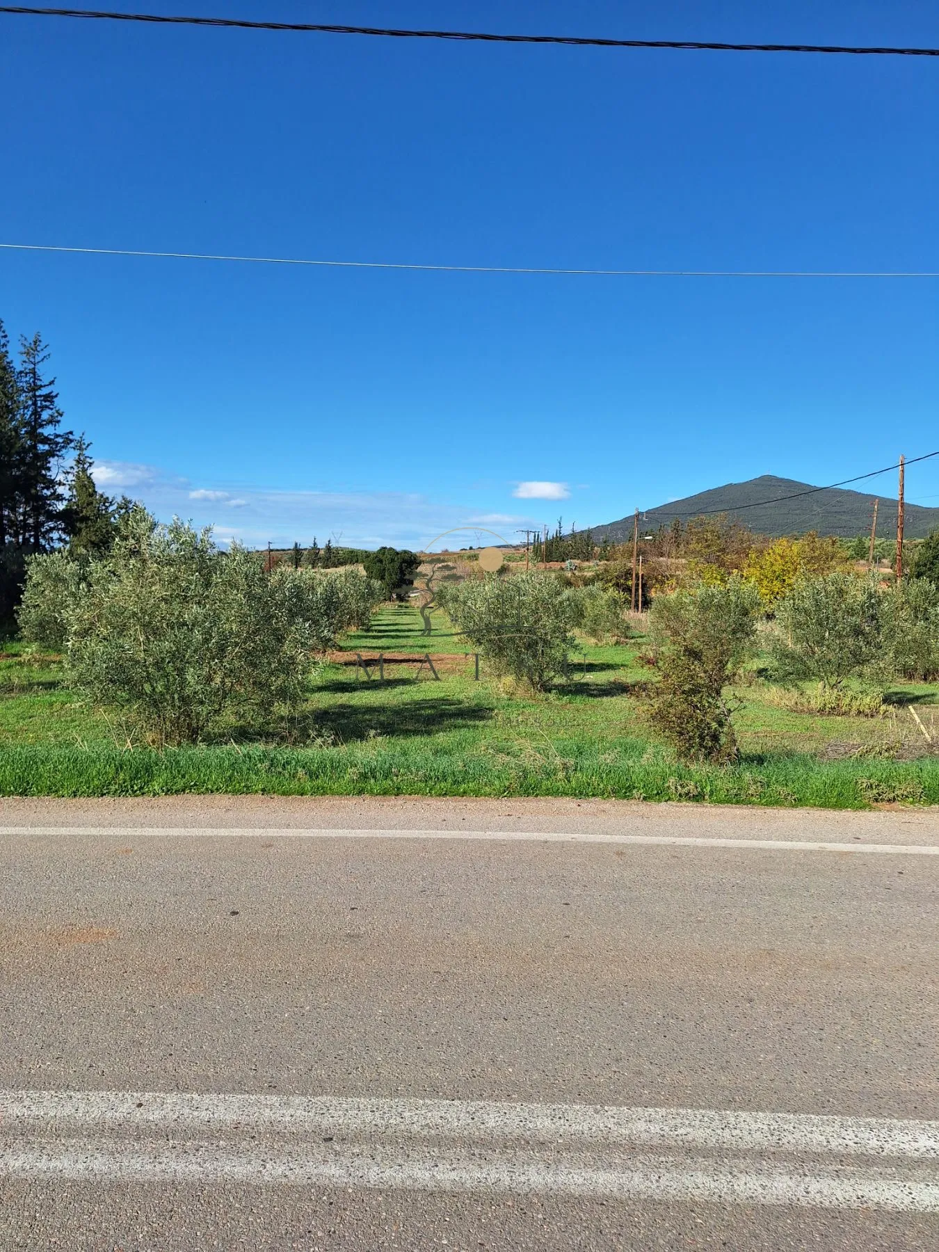 Αγροτεμάχιο 2900τ.μ.  - 3