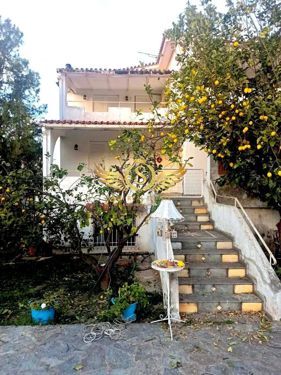Μονοκατοικία 430τ.μ.  - 3