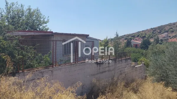 Μονοκατοικία 48τ.μ.  - 3