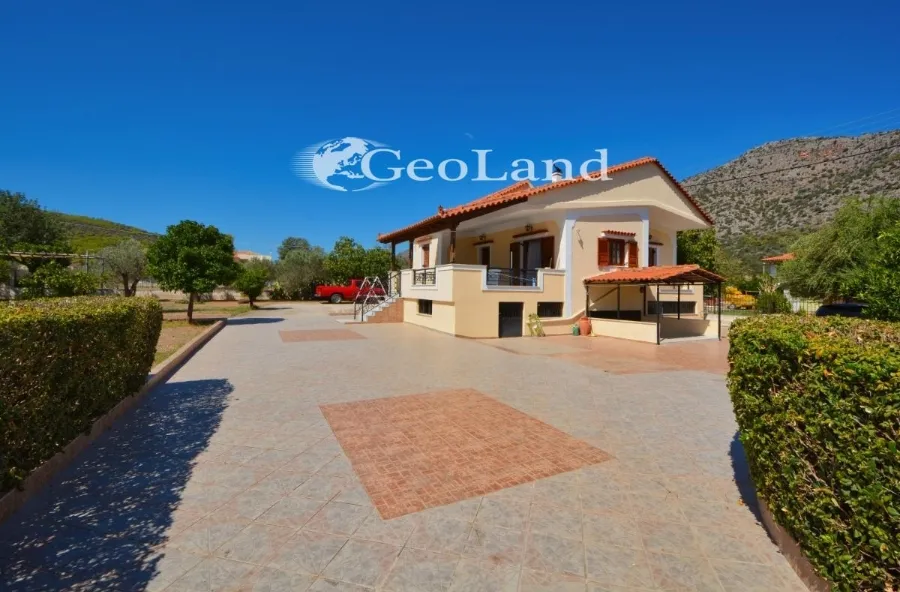 Detached house 331m²  - 3