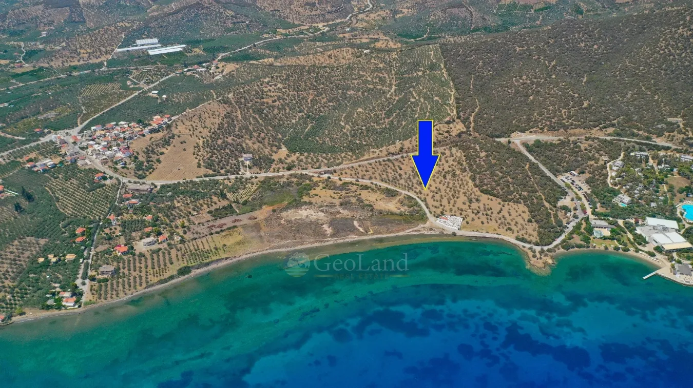 Αγροτεμάχιο 104772τ.μ.  - 4