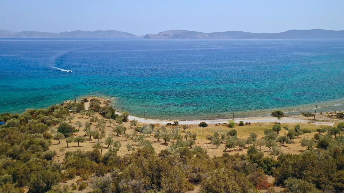 Αγροτεμάχιο 104772τ.μ.  - 5