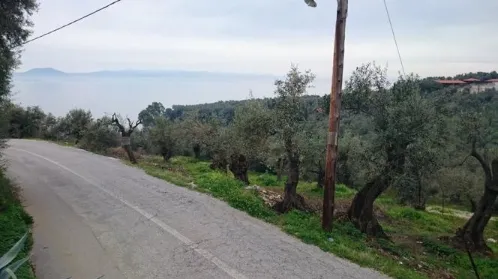 Οικόπεδο 1607τ.μ.  - 2