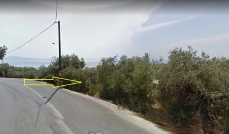 Οικόπεδο 1607τ.μ.  - 5