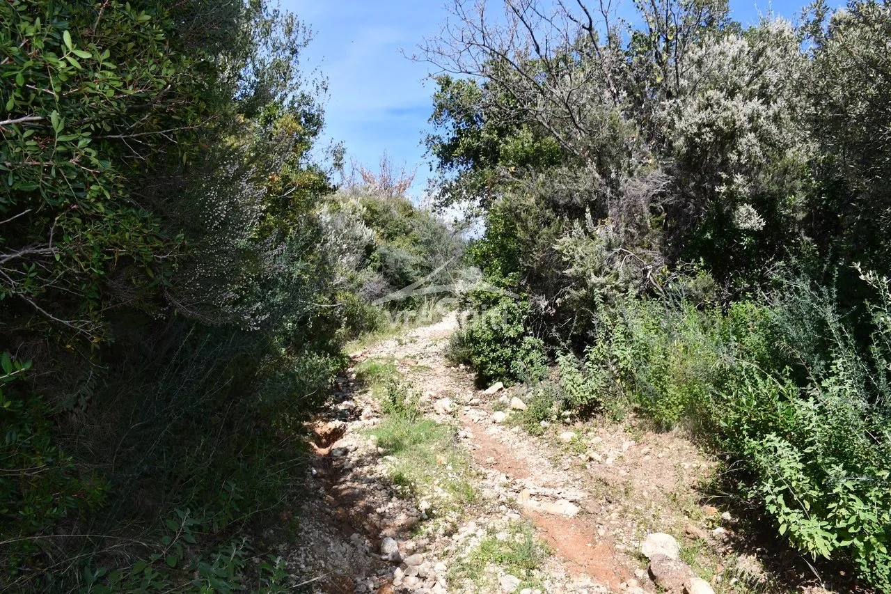 Land Parcel 5893m²  - 2