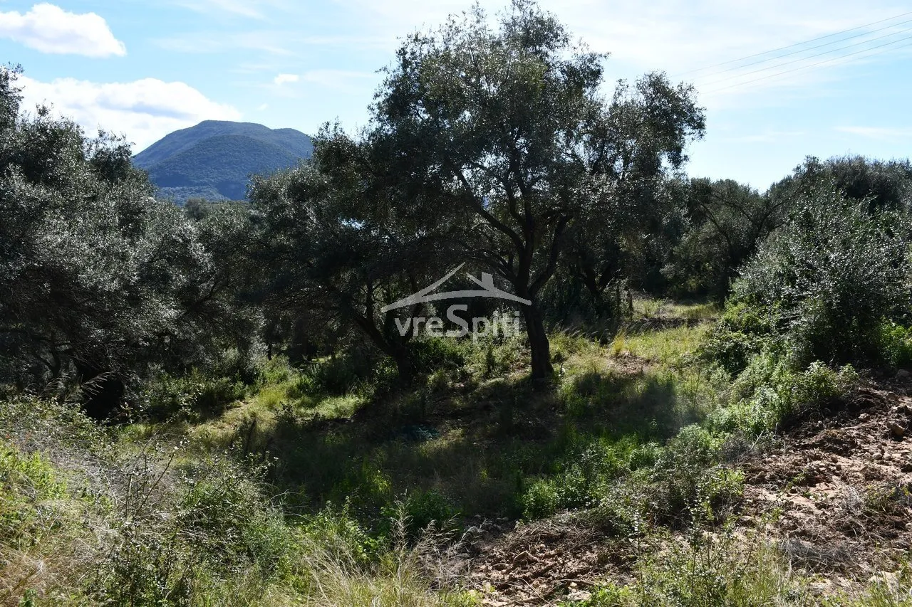 Land Parcel 5893m²  - 3