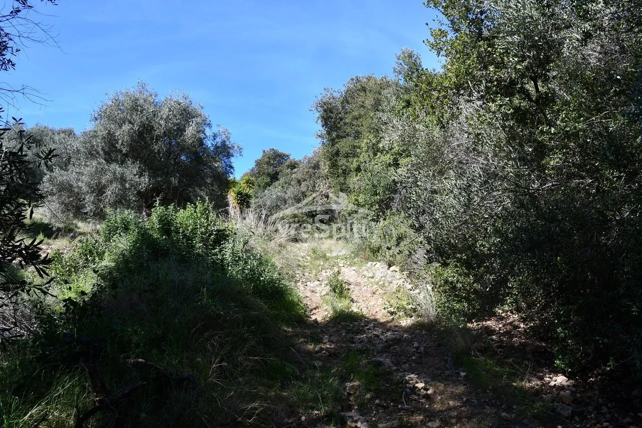 Land Parcel 5893m²  - 4