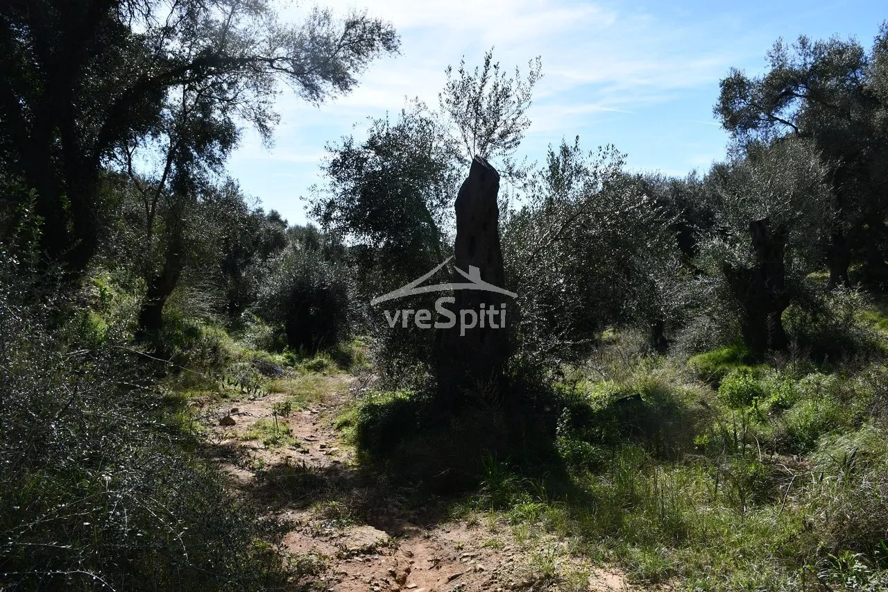 Land Parcel 5893m²  - 5