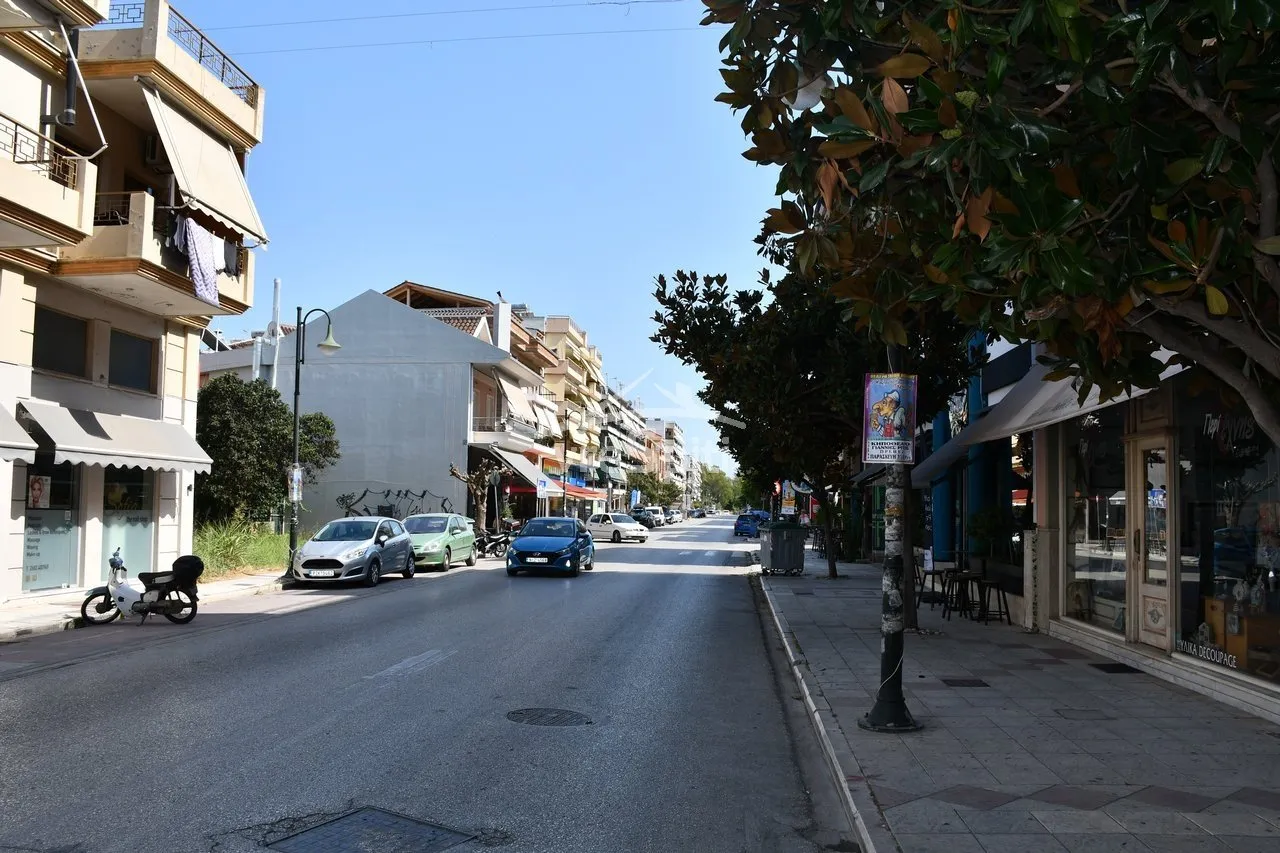 Αγροτεμάχιο 15328τ.μ.  - 2