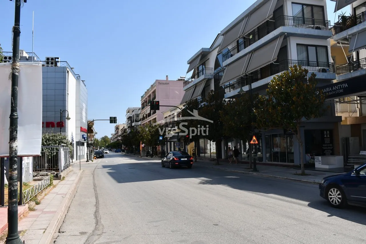 Αγροτεμάχιο 15328τ.μ.  - 3