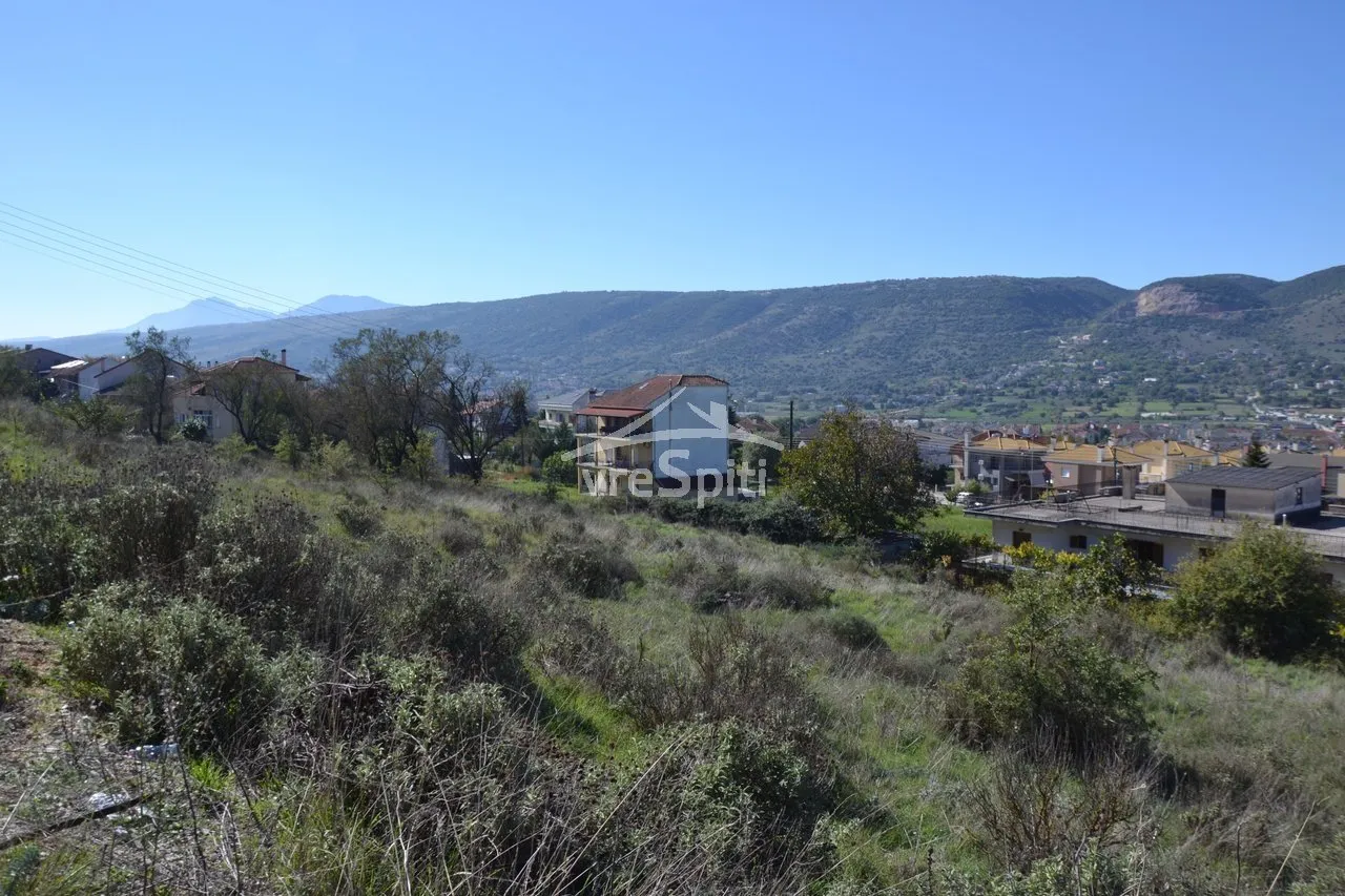 Οικόπεδο 650τ.μ.  - 3