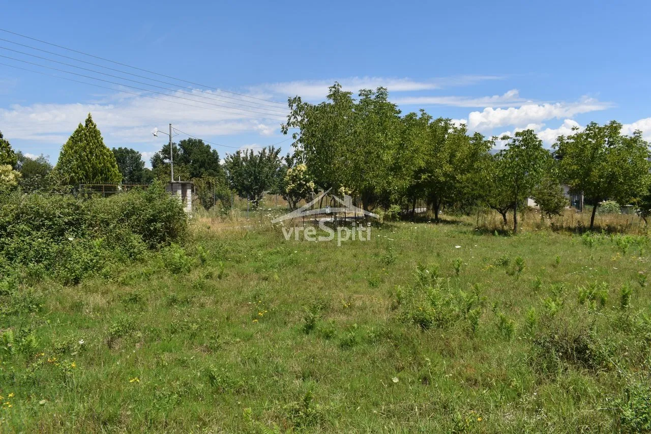 Αγροτεμάχιο 4600τ.μ.  - 3