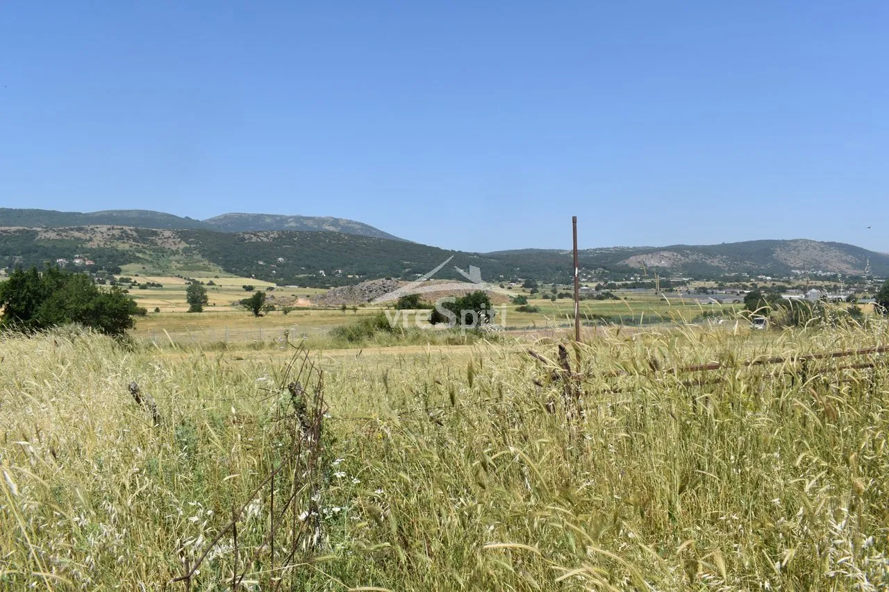 Αγροτεμάχιο 4220τ.μ.  - 3