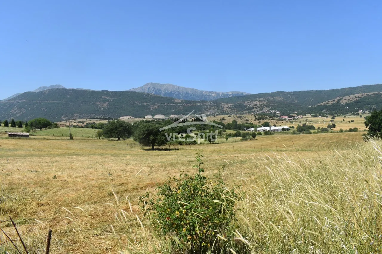 Αγροτεμάχιο 4220τ.μ.  - 4