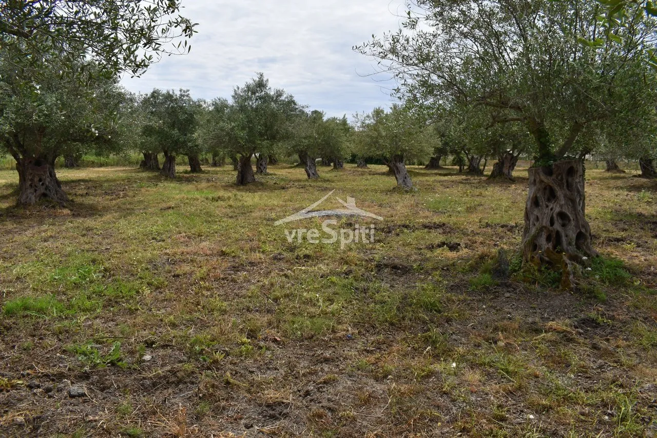 Plot 2040m²  - 2