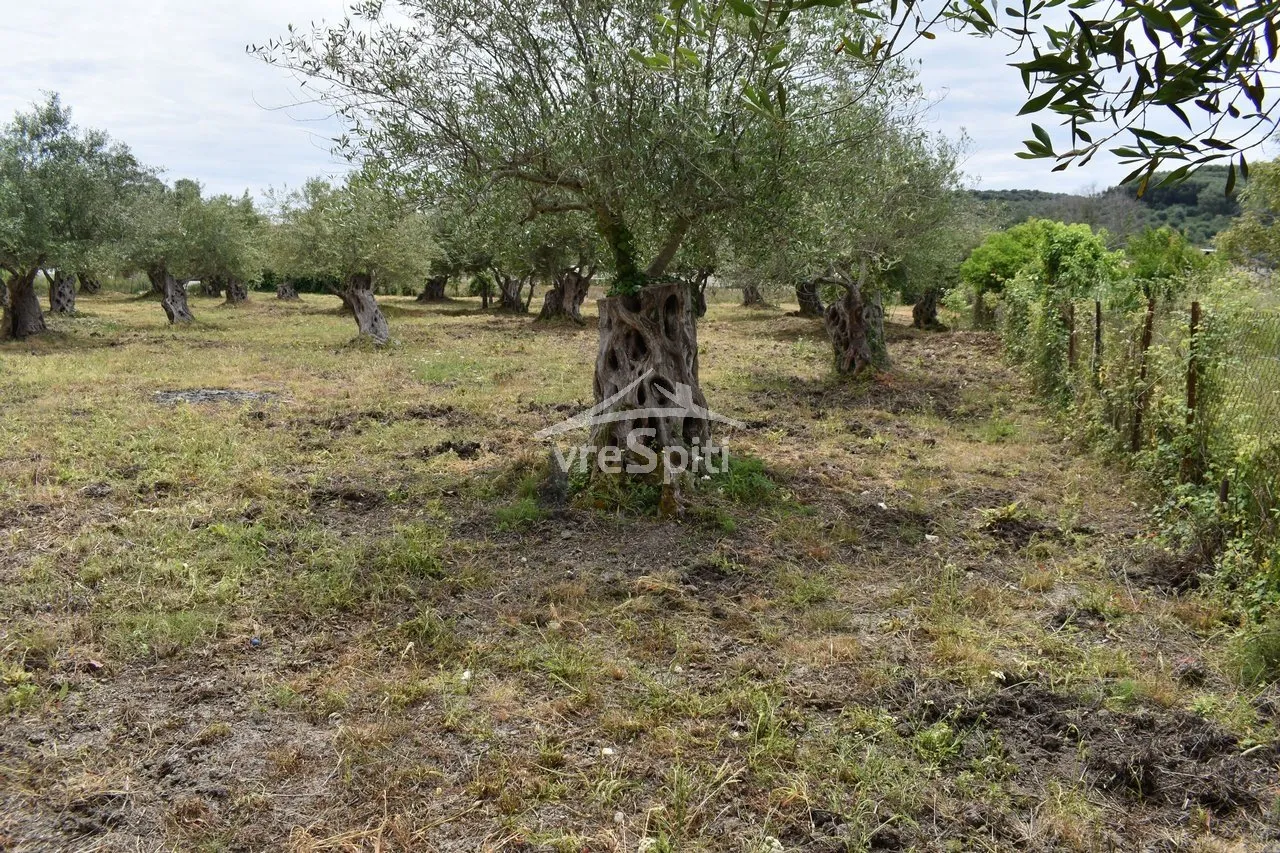 Plot 2040m²  - 3
