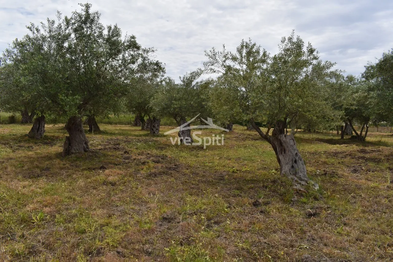 Plot 2040m²  - 4