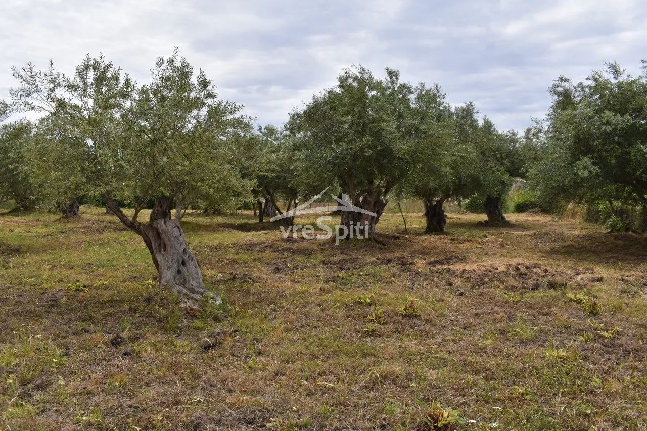 Plot 2040m²  - 5